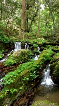 若狭瓜割名水公園　瓜割の滝