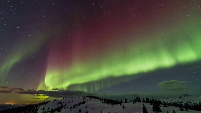Spectacular Aurora Borealis dancing across the starry night sky over a snowy winter landscape.