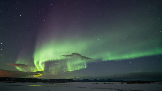 Spectacular Green and Purple Aurora Borealis Dancing in the Starry Night Sky.