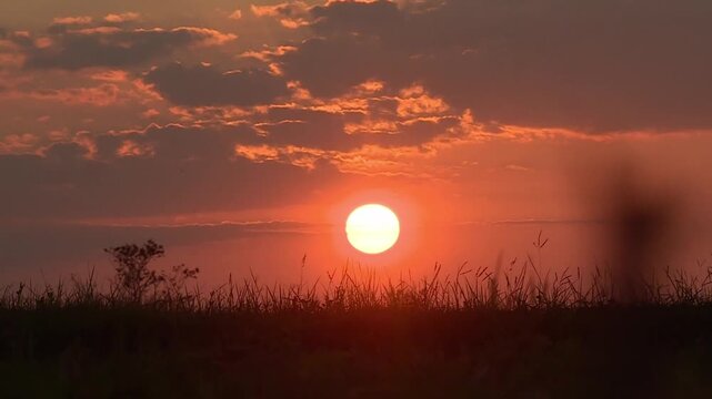 Still shot viewing a landscape of sunset over a grassland in East Nusa Tenggara, with the reeds silhouetted against the orang sky creates a beautiful and dramatic scenes. 