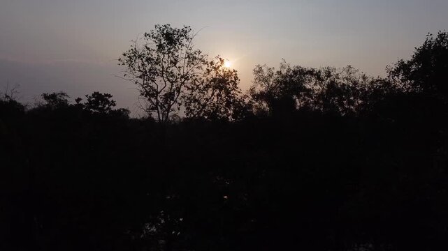 Truck drone shot captures a warm sunset filtering through dense trees in Central Java. The smooth aerial movement creates a tranquil atmosphere during the peaceful evening hours. 