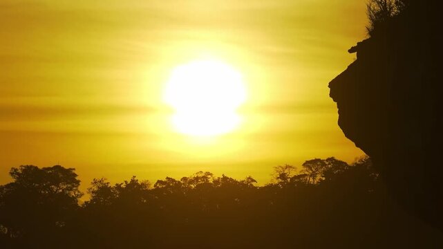 Close-up shot captures a brilliant golden sun positioned over the trees and adjacent cliffside in Banten. The entire environment glows with radiant, rich yellow-gold light. 