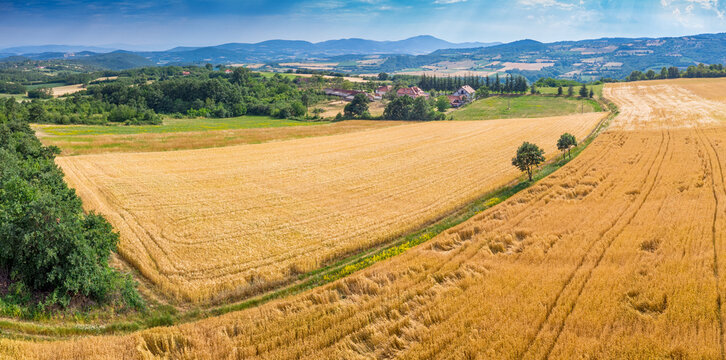 Aerial panoramic view of golden wheat fields rolling across a hilly summer countryside with a farmhouse and distant mountains.
