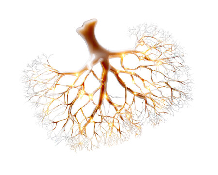 Abstract Neural Network Structure: An intricate and glowing neural network with branching dendrites and axon, symbolizing the complexity of thought and artificial intelligence.