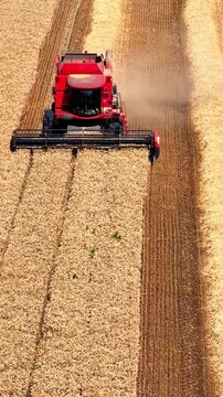 Aerial drone shot of a combine harvester harvesting wheat in a rural landscape on a bright summer day.