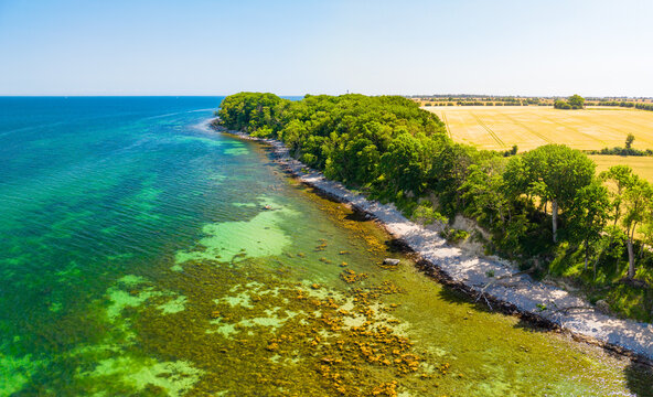 Katharinenhof Coast, Fehmarn Island, Baltic Sea, Germany
