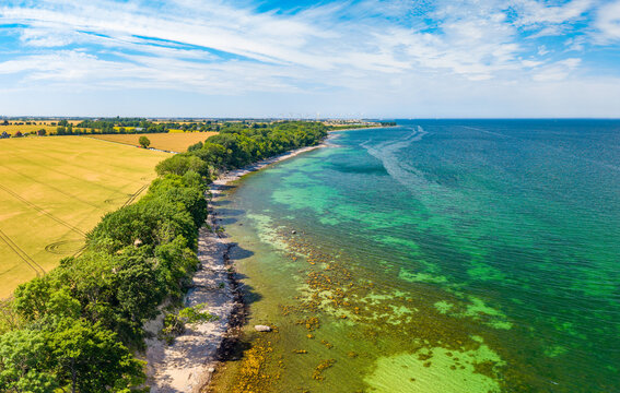 Katharinenhof Coast, Fehmarn Island, Baltic Sea, Germany