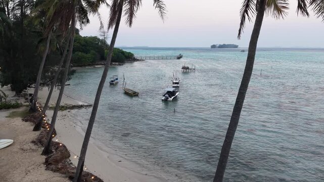 Aerial View in The Clear Beach and Coconut Tree at Pantai Barakuda part of Karimun Jawa Island