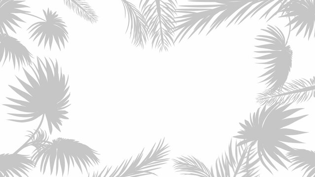 Abstract background of palm leaf and other tropical plant silhouettes, isolated on a white background.