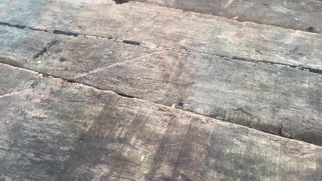 Close Up of Aged Wooden Plank with Cracks and Scratches