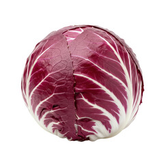 Obraz premium A fresh vibrant head of red radicchio chicory vegetable isolated on a white background highlighting its unique intricate leaf structure pattern