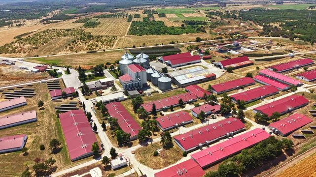 A large pig farm is seen from above. Buildings with red roofs are arranged in rows alongside silos. Farmland stretches in the background with fields and trees.