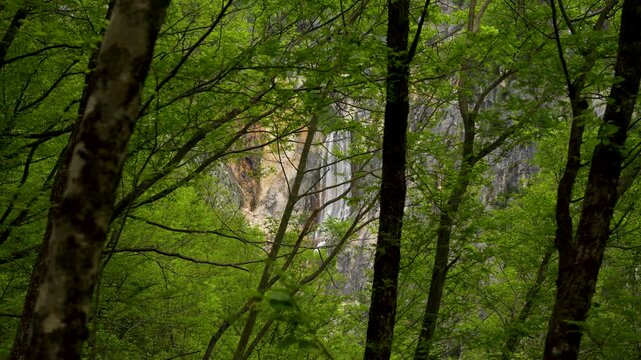 Panoramic View of Boka Waterfall Through Forest Trees Near Bovec Slovenia Landscape
