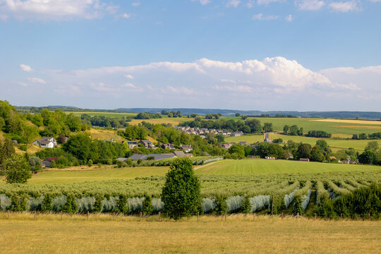Summer landscape, The terrain of hilly countryside, A hamlet on hillside with green grass meadow and tree, Eys is a village in the municipality of Gulpen-Wittem and region in Zuid-Limburg, Netherlands