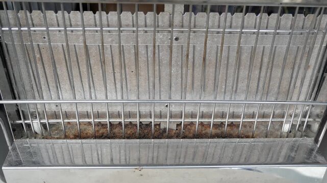 Slice of bread is placed on vertical electric toaster seen from close up.