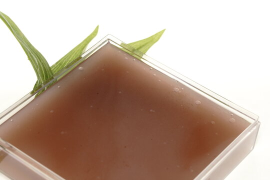 水羊羹　夏の水 葛どうふ 小豆　