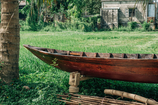 Polished Wooden Canoe on Display Stand by Palm Tree