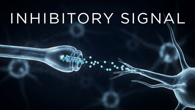 Neuron synaptic connection showing inhibitory signal transmission between brain cells