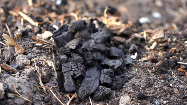 Wood Charcoal and Ash Texture
 A detailed close-up texture view of black wood charcoal pieces, cinders, and ash scattered on natural soil ground outdoors, representing fuel materials.