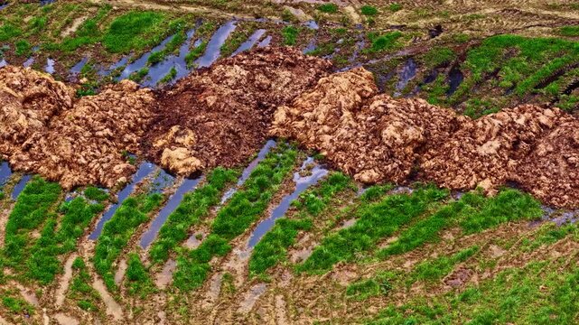 Aerial view of large piles of organic manure in a muddy agricultural field with deep tire tracks and patches of green grass in Europe.