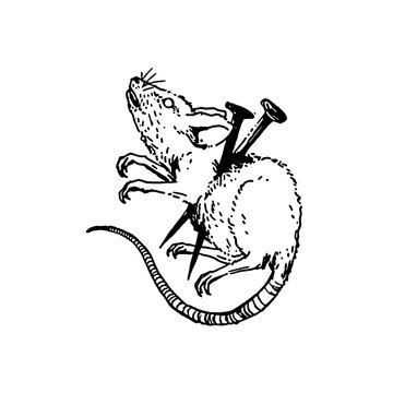 Rat mouse vector illustration design resources and tattoo
