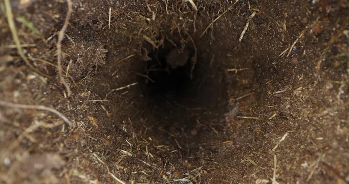 sliding inside underground soil tunnel
