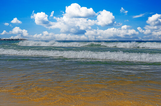 Foamy ocean waves roll onto a sandy beach under a bright blue sky filled with fluffy white clouds.
