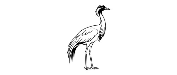 Obraz premium Elegant bird illustration, isolated on transparent background