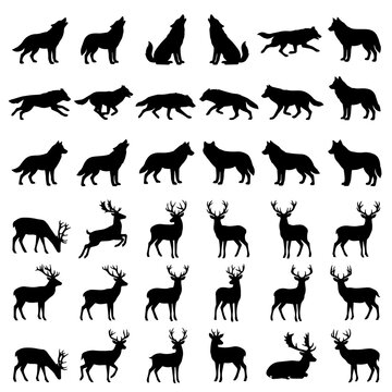 Set of black silhouette featuring wolves and deer in various natural poses isolated on a white background, for wildlife