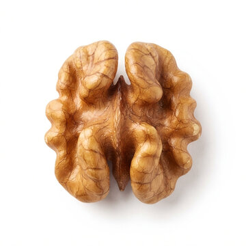 Shelled walnut kernel halves isolated on a white background