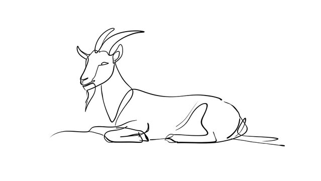 Minimalist goat line drawing white background.