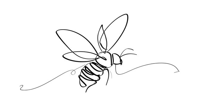 Minimalist line art bee drawing white background.