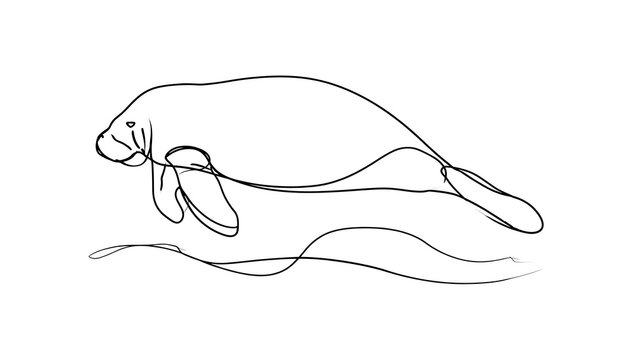 Minimalist manatee line art on white background.