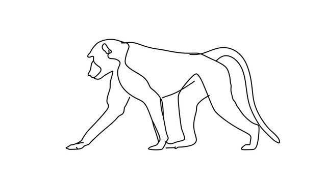Monkey silhouette illustration on white background.