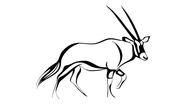 Oryx antelope line art illustration white background.