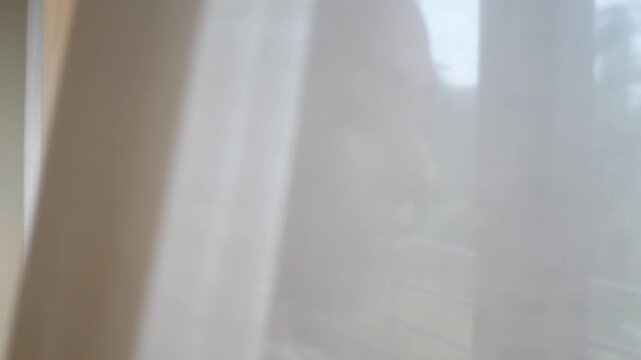 Blurry Sheer Curtain White