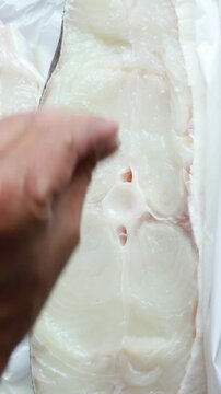 Preparing wild caught halibut steaks for grilling. Vertical design in 9:16 ratio. Smartphone and social media ready.	