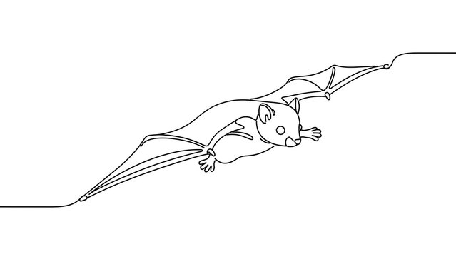 Flying bat illustration on white background.
