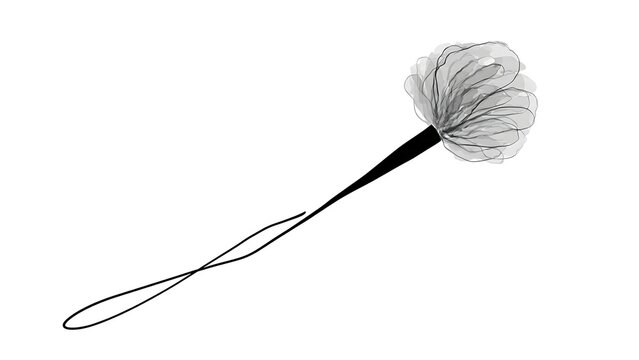 Feather pom pom with string on white background.