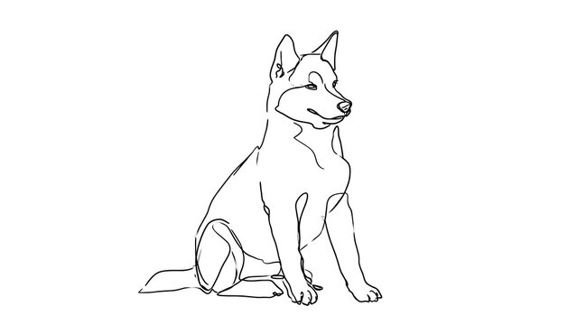 German Shepherd puppy sketch white background.
