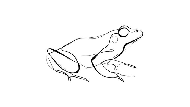 Line art frog illustration white background.