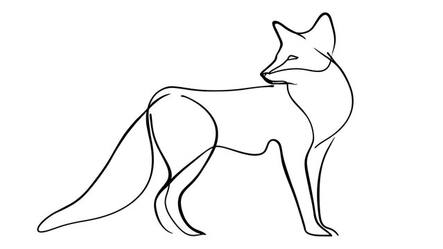 Minimalist fox line art drawing white background.