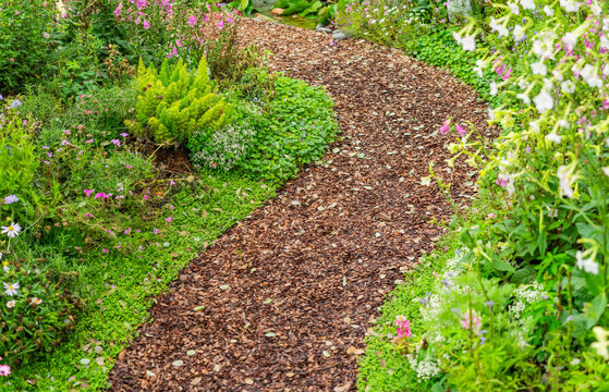 colorful flowers with rock path leading through a flower garden
