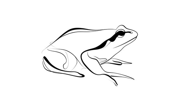 Minimalist frog illustration on white background.