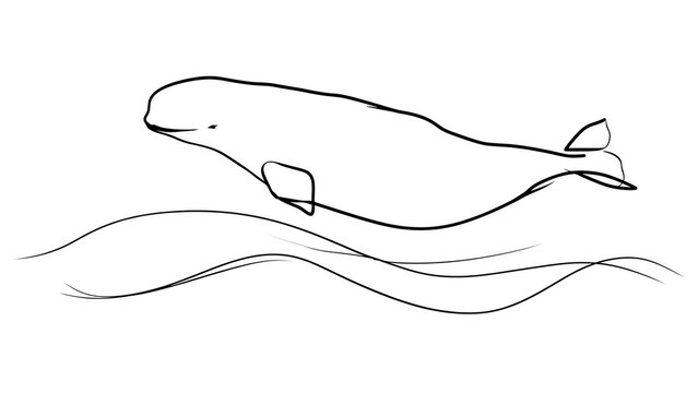 Minimalist whale line art illustration white background.