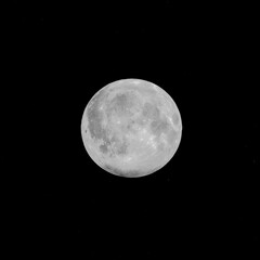 Fototapeta premium Detailed image of the full moon isolated on black.