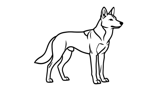 German Shepherd dog illustration white background.