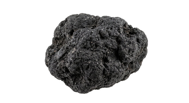 Close-up view of a porous black volcanic rock on a white background