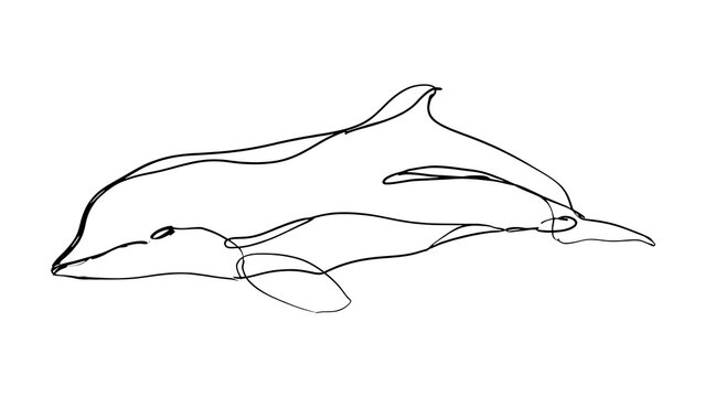 Minimalist dolphin line art on white background.