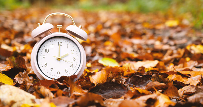 End of daylight saving time in autumn, winter time changeover, alarm clock fall back switch, colorful foliage in forest
